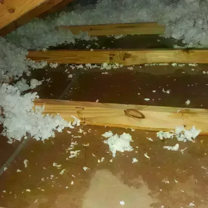 Attic Water Damage in Freedom, NH